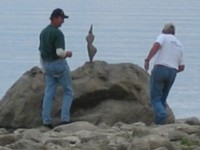 Teton spectators