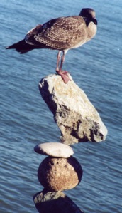 One of Bill's